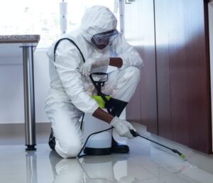 Cockroach Fumigation Services in Nairobi Kenya