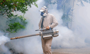 Mosquito Control Services in Nairobi Kenya